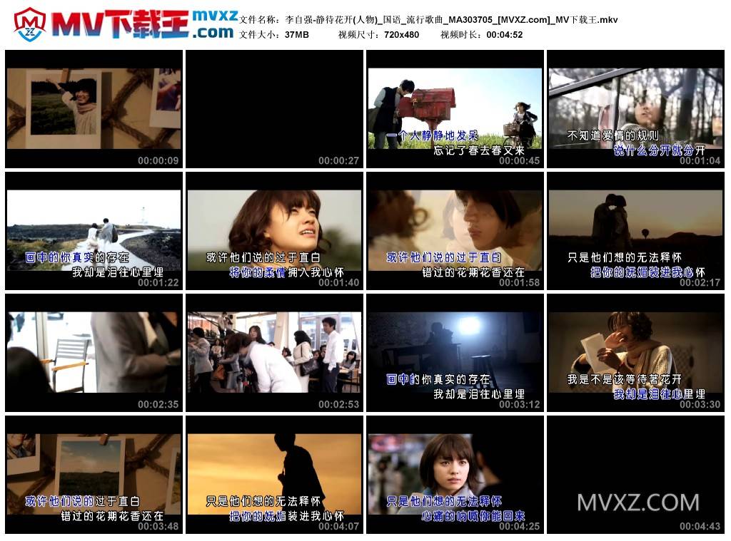 李自强-静待花开(人物)_国语_流行歌曲_MA303705